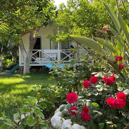 Bellerofon Beach Otel Çıralı Exterior foto