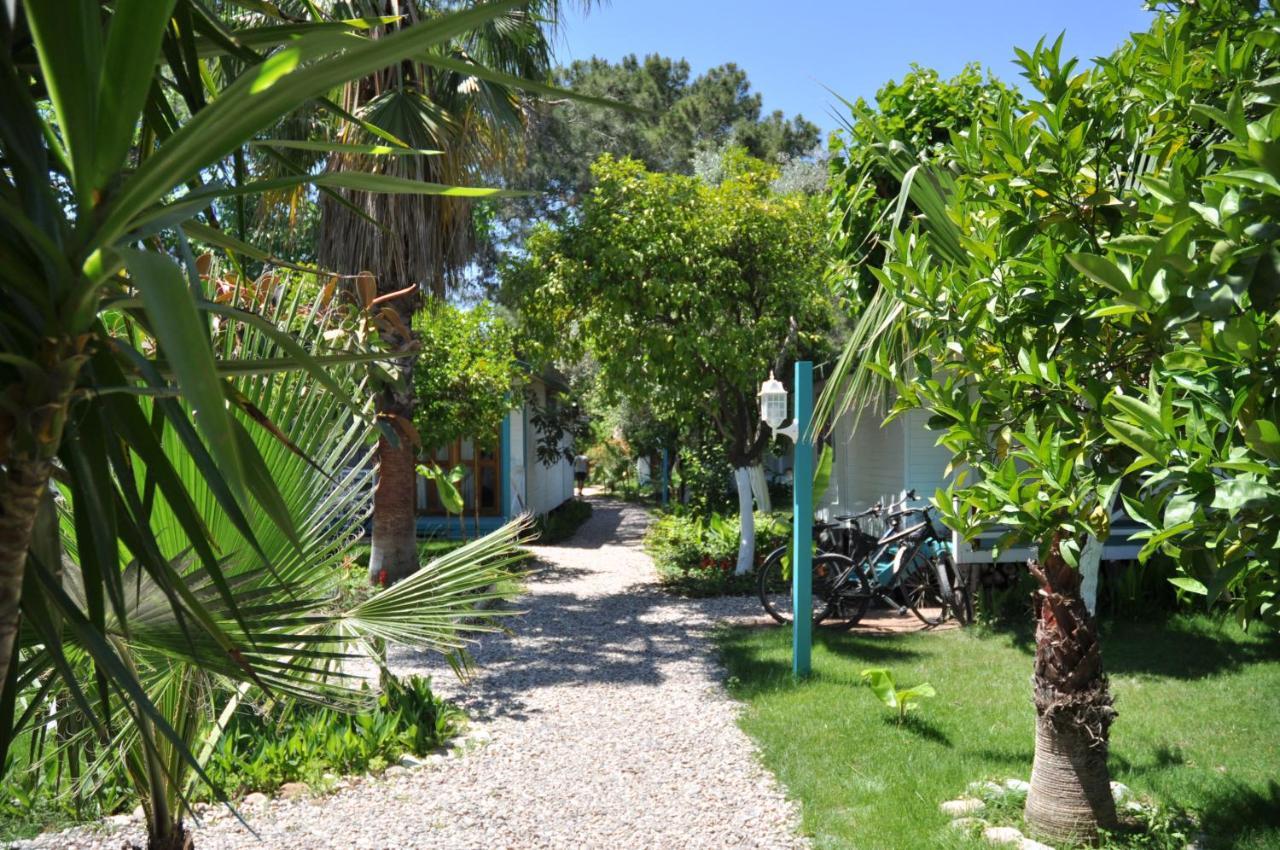 Bellerofon Beach Otel Çıralı Exterior foto