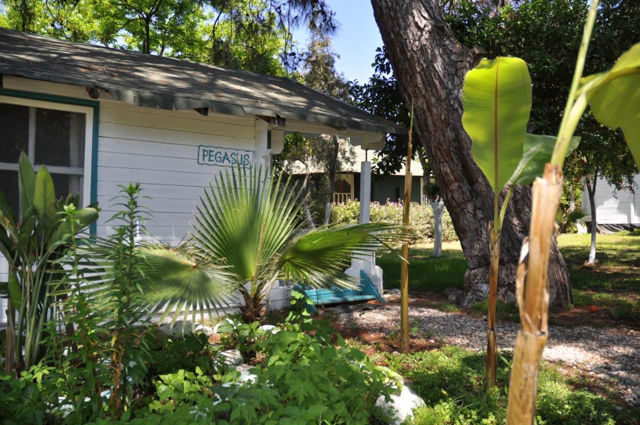 Bellerofon Beach Otel Çıralı Exterior foto