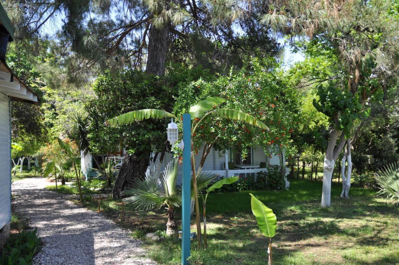 Bellerofon Beach Otel Çıralı Exterior foto