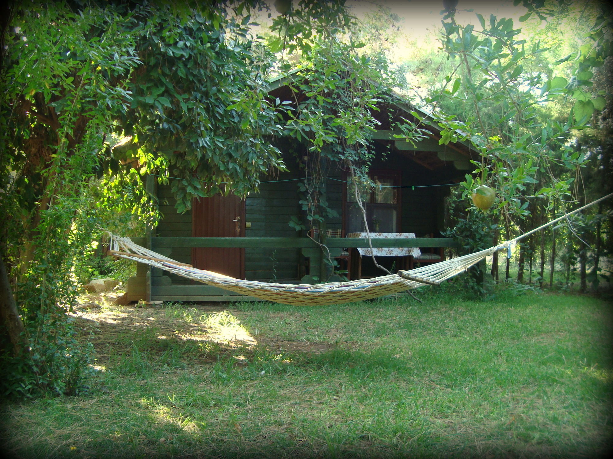 Bellerofon Beach Otel Çıralı Exterior foto