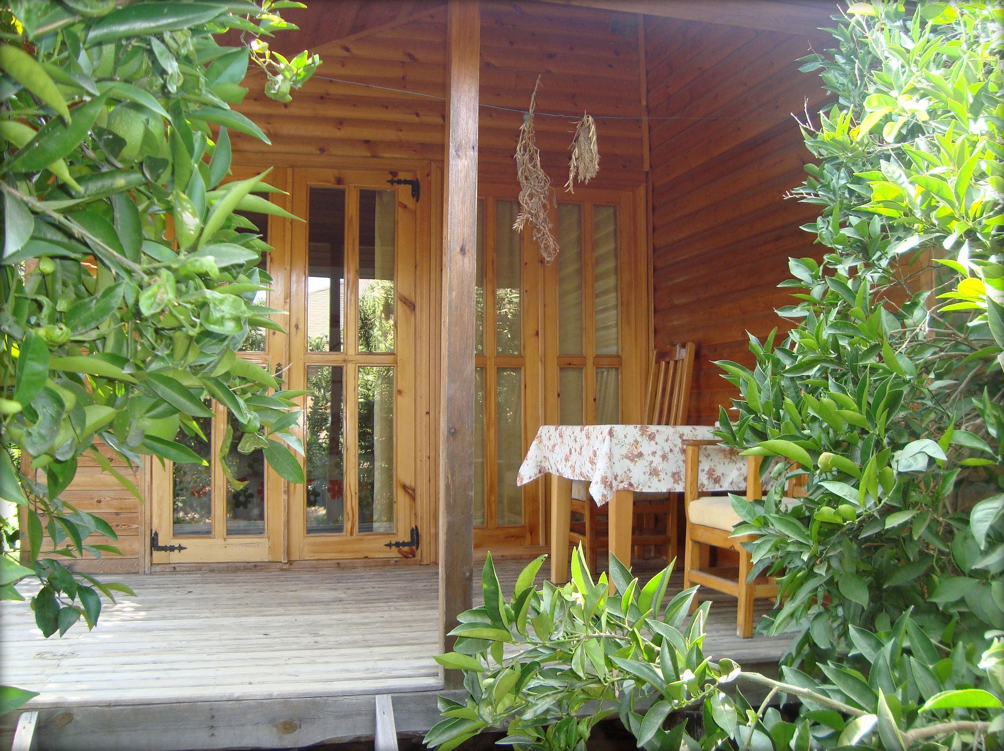 Bellerofon Beach Otel Çıralı Exterior foto