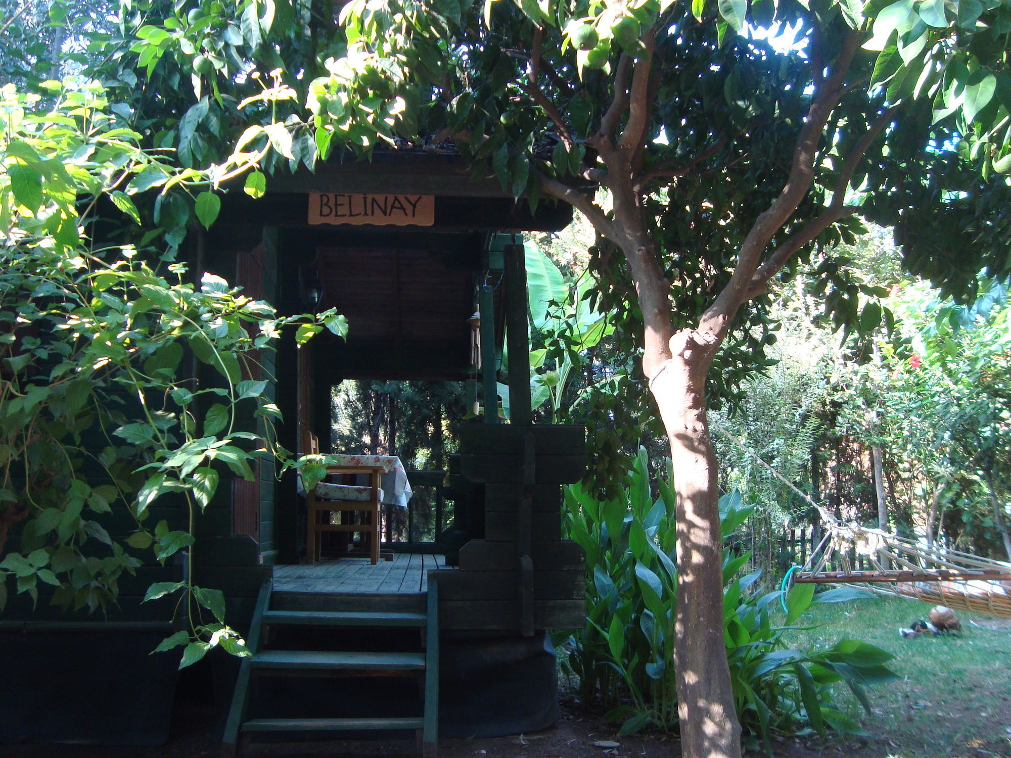 Bellerofon Beach Otel Çıralı Exterior foto